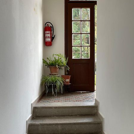 Mima'S Place Zagrzeb Zewnętrze zdjęcie